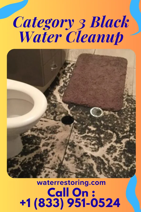 Category 3 Black Water Cleanup in Nowthen, MN