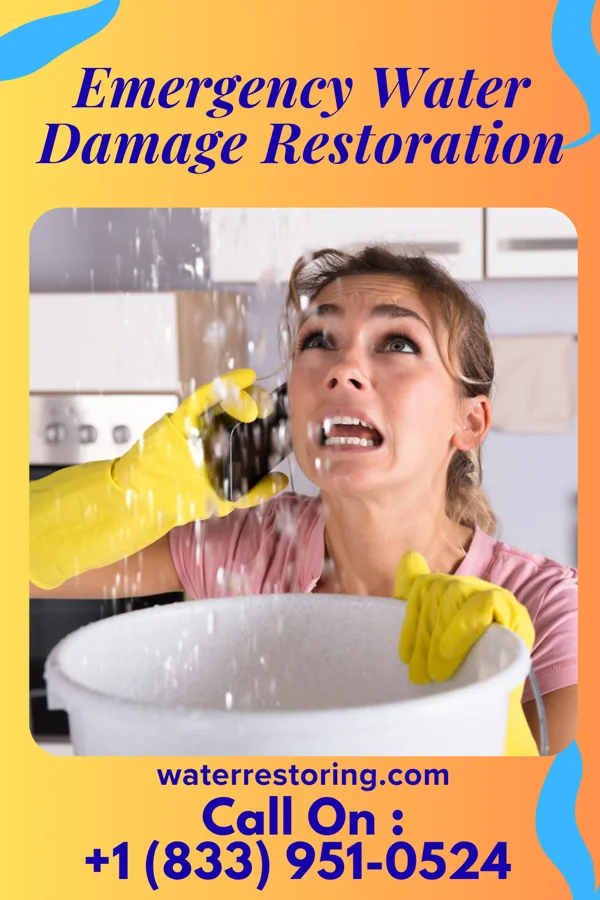 Emergency Water Damage Restoration in Nowthen, MN